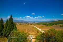 香格里纳到西双版纳沿途风景