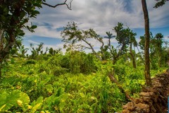 海南仁台村 12(请假贴）