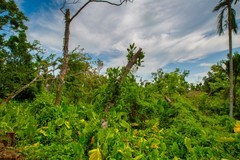 海南仁台村 12(请假贴）