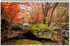 2025年-人文风光纪实抓拍-0994