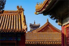 2026年第0118贴-故宫博物院纪实旅拍（0211）