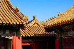 2026年第0118贴-故宫博物院纪实旅拍（0211）