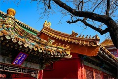 2026年第0119贴-故宫博物院纪实旅拍（0211）