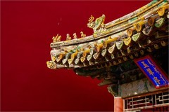 2026年第0119贴-故宫博物院纪实旅拍（0211）