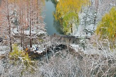 【视觉光影】瑞 雪 泉 城 （25）