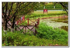 大足海棠湖公园（5）
