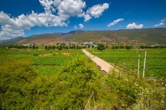 香格里拉到西双版纳沿途风景2