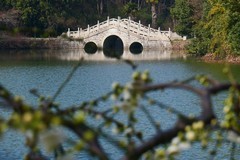 武汉梅花园（二十一）