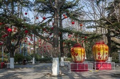 第四十五届天下第一泉迎春花灯会预览-3