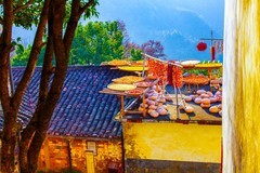 请假贴 （婺源篁岭风景 16）