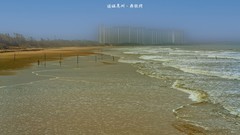 湛江吴川·鼎龙湾海滩