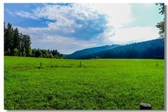 夏游“滴滴湖”（Titisee）(德国高黑森林)