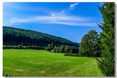 夏游“滴滴湖”（Titisee）(德国高黑森林)