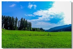 夏游“滴滴湖”（Titisee）(德国高黑森林)