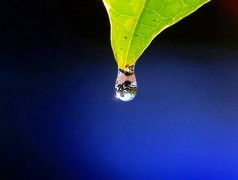 047【不老松：二游海南纪实】临高长島兰湾：初拍水滴！不成样子！(没有微距镜头及必须