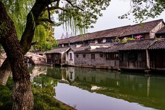 外出随拍（533）.