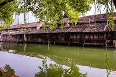 外出随拍（533）.