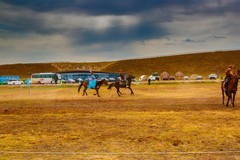 昭苏湿地公园跑马场5