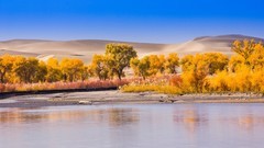 外出随拍（661）.