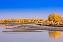 外出随拍（661）.