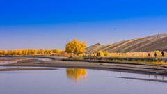 外出随拍（661）.