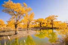 外出随拍（660）.