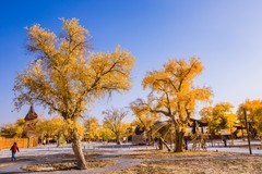 外出随拍（660）.