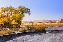 外出随拍（662）.