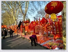 马蹄声声迎马年【丙午年-2】