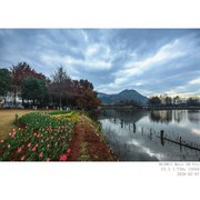 手机随拍 —— 湖光