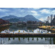 手机随拍 —— 湖光