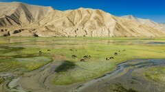 万山之结的召唤——帕米尔高原之四