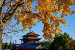 2025年第0798贴-故宫筒子河畔纪实拍（1118）