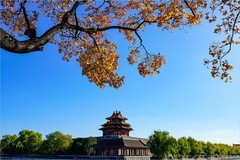 2025年第0798贴-故宫筒子河畔纪实拍（1118）