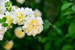 城郊闲游领略初夏美丽风光