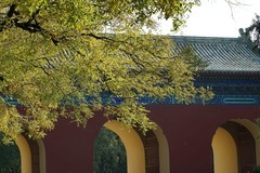 北京记行：天坛