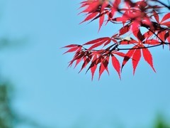 【视觉光影】 随 拍 （2）