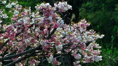 【视觉光影】 随 拍 （2）