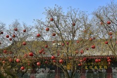 西安大雁塔不夜城