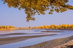 外出随拍（664）.