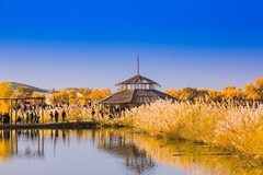 外出随拍（664）.