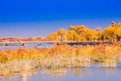 外出随拍（665）.