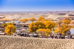 外出随拍（665）.