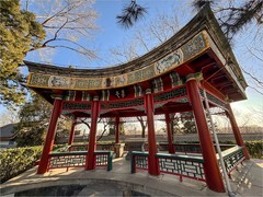 2026年-公园人文纪实游拍-0140