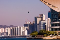 外出随拍（851）.