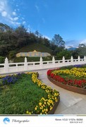 庐山东林寺游记--3