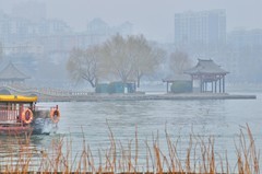【视觉光影】随 拍 （5）