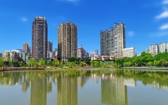 公园随拍 （2）