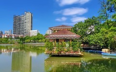 公园随拍 （2）