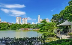 公园随拍 （2）